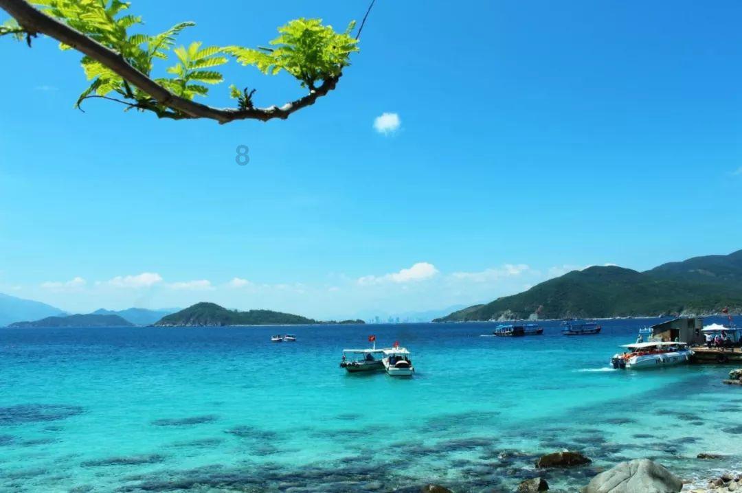 2月2日返程车流开始增多